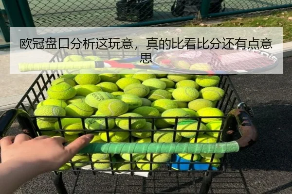 欧冠盘口分析这玩意，真的比看比分还有点意思 - leyu