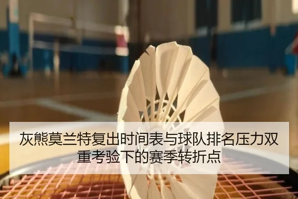 灰熊莫兰特复出时间表与球队排名压力双重考验下的赛季转折点 | leyu