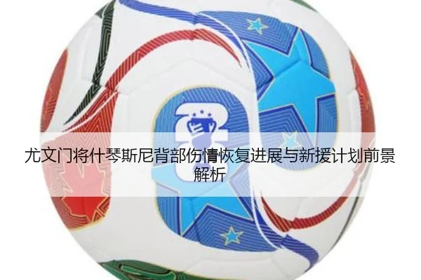 尤文门将什琴斯尼背部伤情恢复进展与新援计划前景解析 | leyu